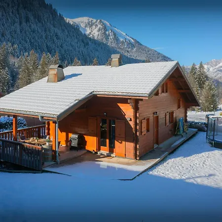 Igel - Ovo Network Chatel